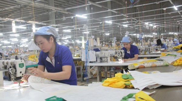 Đắk Lắk: Doanh nghiệp không được nợ lương, thưởng Tết của người lao động