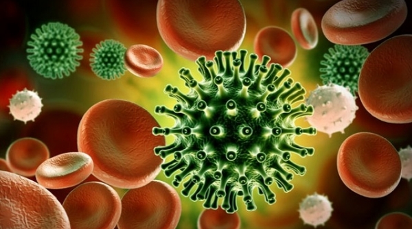 Phát hiện ca COVID-19 đầu tiên tại Việt Nam nhiễm biến thể virus mới ở Nam Phi