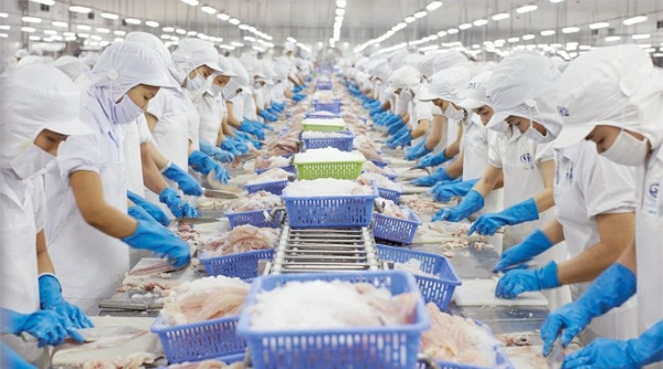Sản phẩm xuất khẩu sang EU: Cần đáp ứng các tiêu chuẩn về vệ sinh an toàn thực phẩm