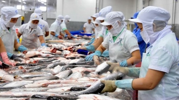 Campuchia tiếp tục nhập khẩu một số loại cá từ Việt Nam