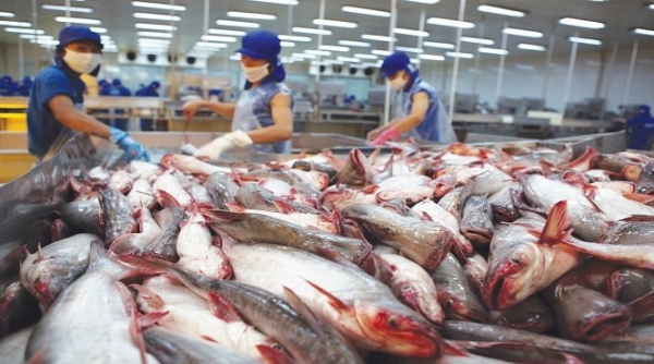 Campuchia tiếp tục cho phép nhập khẩu các sản phẩm thủy sản từ Việt Nam