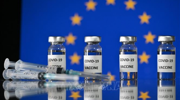 EU phê duyệt nhanh vaccine mới có khả năng chống lại các biến thể