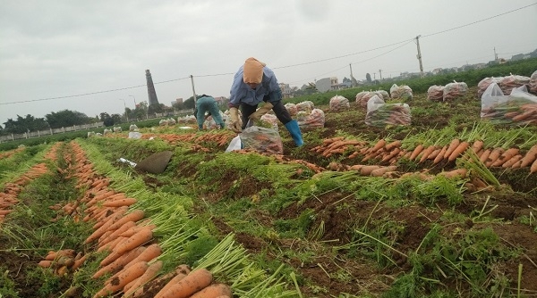 Hải Dương đề nghị các tỉnh tạo điều kiện thông thương hàng hóa