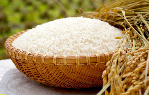 Giá lúa gạo hôm nay ngày 18/2: Giá lúa gạo tại khu vực Đồng bằng sông Cửu Long neo ở mức cao