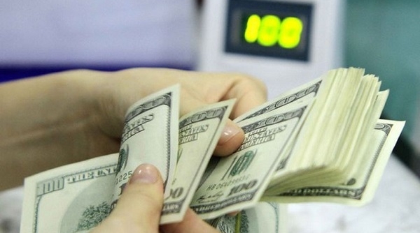 Tỷ giá ngoại tệ ngày 19/2: Đồng USD quay đầu giảm, bảng Anh tăng