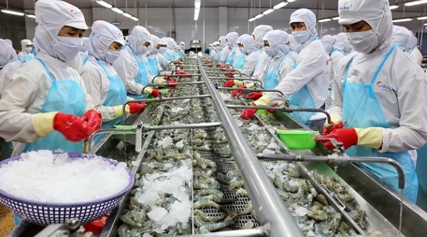 Bộ Công Thương hoan nghênh việc Hoa Kỳ thông báo không áp thuế chống bán phá giá với tôm xuất khẩu của Công ty Minh Phú