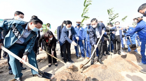 Hà Nội: Phát động Tết trồng cây Xuân Tân Sửu 2021