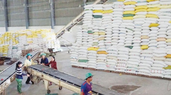 Tháng đầu năm 2021: Xuất khẩu gạo sụt giảm về cả sản lượng và kim ngạch