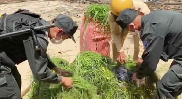 An Giang: Phát hiện 2.000 gói thuốc lá ngoại nhập lậu ngụy trang trong gánh cỏ