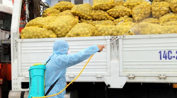 Bộ Công Thương nỗ lực tháo gỡ khó khăn cho lưu thông hàng hóa và thúc đẩy tiêu thụ nông sản ảnh hưởng dịch bệnh