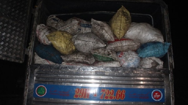 Nghệ An: Thu giữ hơn 12 tấn mỡ lợn bẩn trên đường đi tiêu thụ