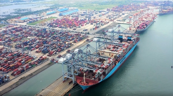 Cục Hàng hải Việt Nam lập tổ kiểm tra giá cước vận tải container vẫn tăng sau Tết