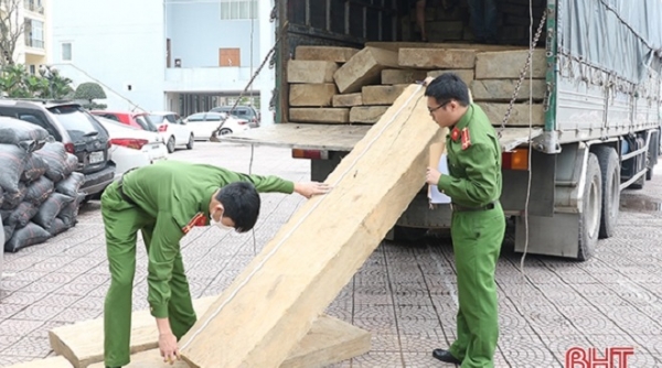 Hà Tĩnh: Bắt giữ xe tải vận chuyển 10m³ gỗ không rõ nguồn gốc