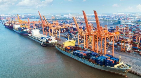 Hải Phòng: Xây dựng 2 bến container hơn 6.400 tỷ đồng