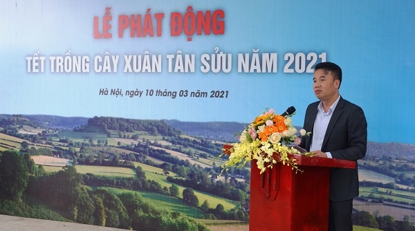 Bảo hiểm Xã hội Việt Nam tổ chức “Tết trồng cây đời đời nhớ ơn Bác Hồ”