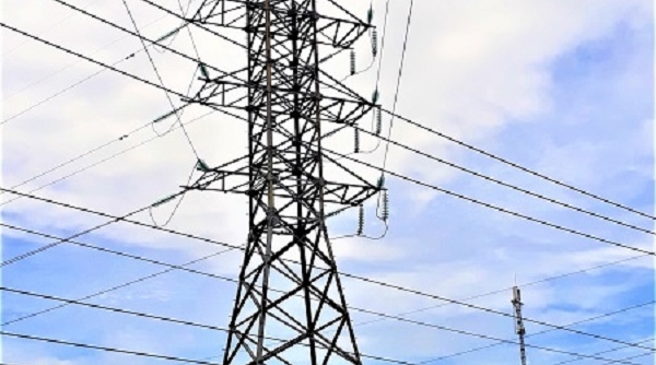 Điện lực Ninh Bình xử lý kịp thời các trường hợp có nguy cơ gây sự cố đối với hành lang lưới điện