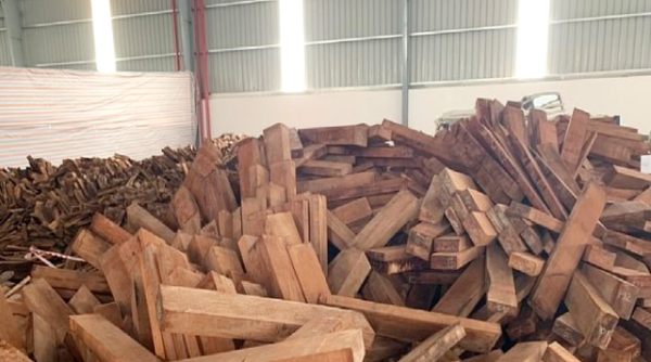 Cục Hải quan Đà Nẵng: Tăng cường kiểm tra mặt hàng gỗ có nguồn gốc từ châu Phi