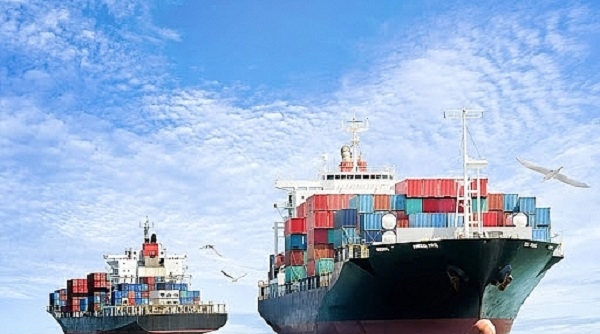 Kiểm tra giá cước vận chuyển container của 12 hãng tàu