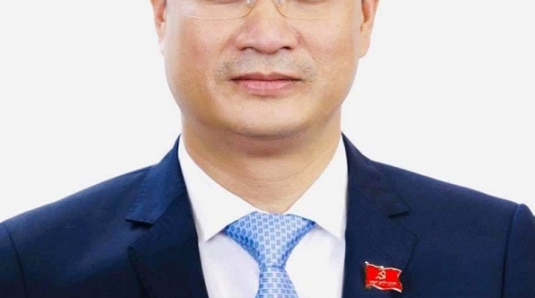 Ông Lê Ngọc Quang giữ chức Tổng giám đốc Đài Truyền hình Việt Nam