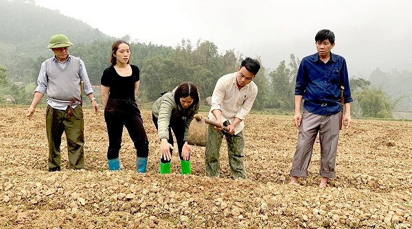 Kết nối hợp tác sản xuất, tiêu thụ thảo dược tại Yên Thuận (Hàm Yên, Tuyên Quang)