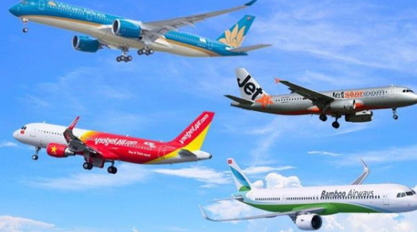 Các hãng bay tư nhân muốn được vay vốn hỗ trợ lãi suất