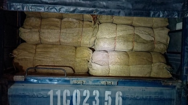 Thu giữ hơn 2 tấn nguyên liệu thuốc lá không rõ nguồn gốc tại Cao Bằng