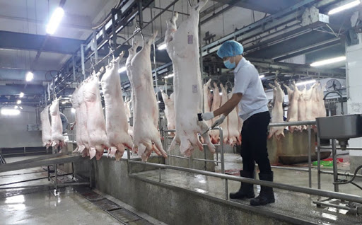 Hà Nội: Ngăn chặn triệt để việc vận chuyển, buôn bán, giết mổ lợn nghi mắc bệnh