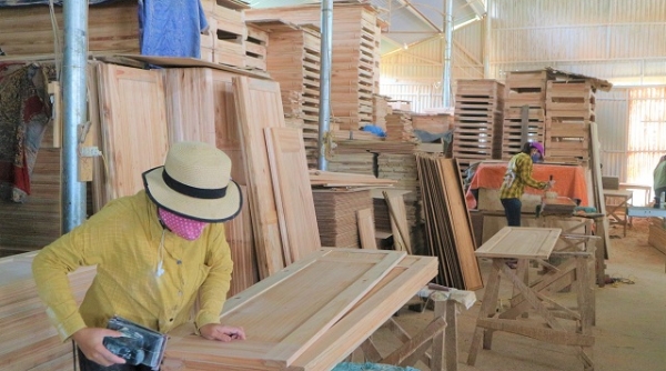 Đảm bảo nguồn nguyên liệu để công nghiệp chế biến gỗ phát triển bền vững