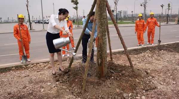 Tổng công ty Điện lực miền Bắc hưởng ứng chương trình trồng cây tại Bắc Giang