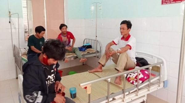 Quảng Nam: 5 người bị ngộ độc sau khi ăn nấm rừng