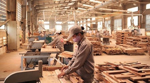 Kim ngạch xuất khẩu gỗ và lâm sản đạt gần 4 tỷ USD trong quý I