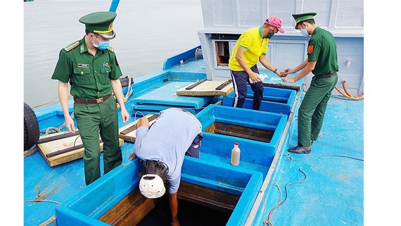 Bà Rịa - Vũng Tàu: Bắt tàu chở 80.000 lít dầu D.O không rõ nguồn gốc