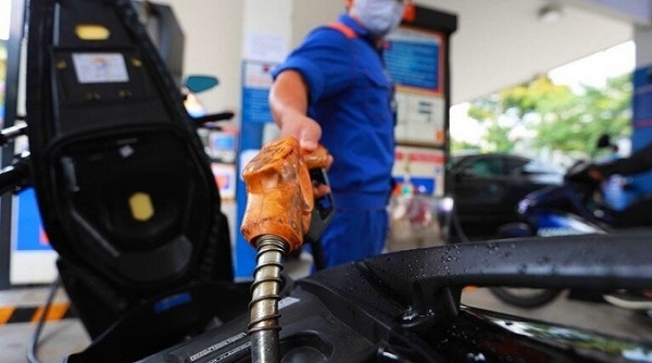 Giá xăng dầu ngày 11/4: Giá dầu thô thị trường thế giới tiếp tục giảm mạnh