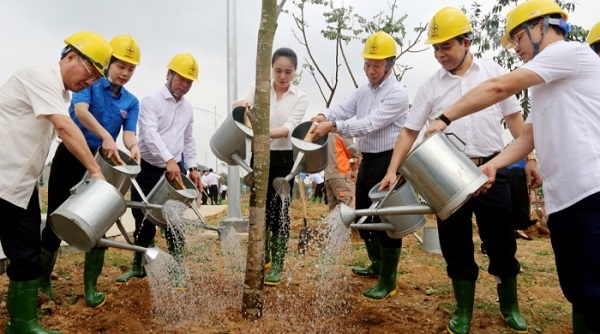 Tổng Công ty Điện lực miền Bắc trồng 500 cây xanh tại Khu Di tích lịch sử Đền Hùng