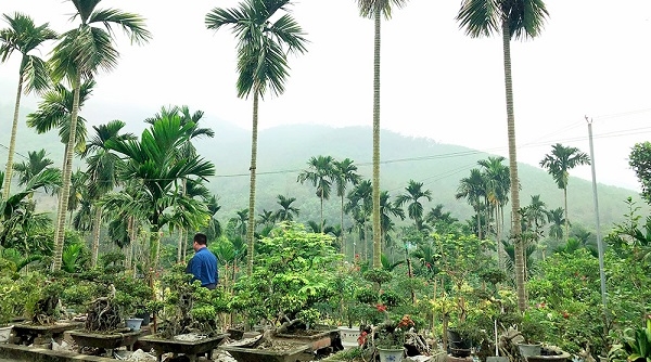 Yên Sơn (Tuyên Quang) hỗ trợ 10 hộ của xã Tân Tiến xây dựng vườn mẫu