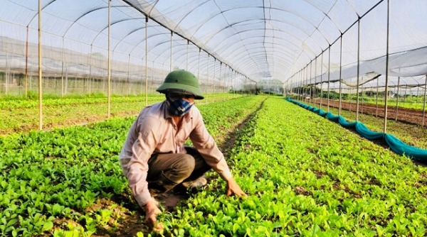 Ngân hàng Agribank Nam Thanh Hóa đầu tư vốn phát triển “Tam nông”