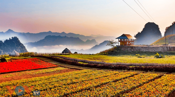 Hà Giang – Yên Bái thúc đẩy trọng điểm kinh tế liên tuyến Tây Bắc