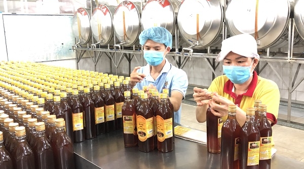 Lần đầu tiên, sản phẩm mật ong Việt Nam có nguy cơ bị điều tra biện pháp phòng vệ thương mại