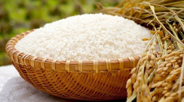 Giá lúa gạo hôm nay 3/5: Giao dịch ở mức giá ổn định
