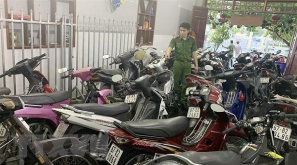 An Giang: Phát hiện số lượng lớn xe mô tô không giấy tờ trong cơ sở cầm đồ