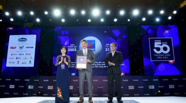 Thương hiệu Đạm Phú Mỹ được vinh danh trong Top 50 thương hiệu Việt Nam dẫn đầu năm 2020