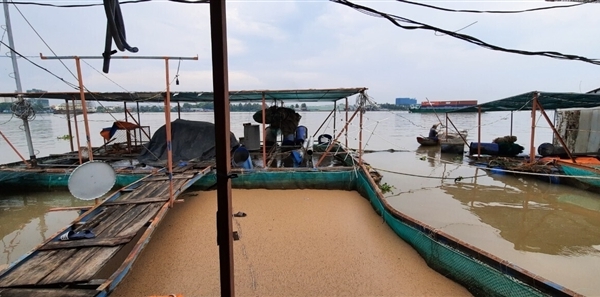 Tiền Giang: Sà lan tải trọng trên 1.300 tấn tông chìm 2 bè cá trên sông Tiền