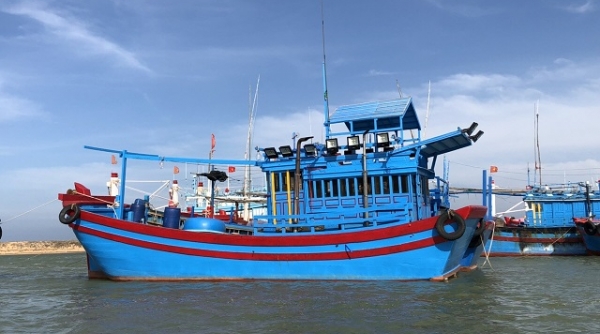 Thanh Hóa: Tăng cường công tác quản lý tàu cá hoạt động thủy sản