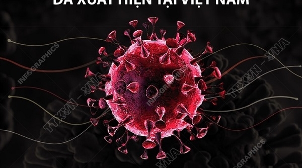 Phát hiện hai biến thể mới của virus SARS-CoV-2 tại Việt Nam