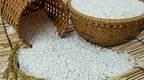 Giá lúa gạo ngày 21/5: Giá lúa nếp giảm nhẹ