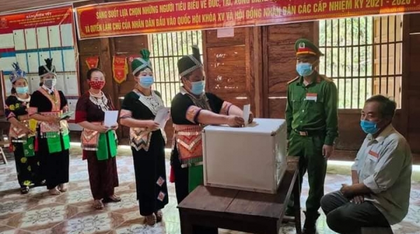 Hơn 42.600 cử tri tại 4 huyện miền núi Nghệ An đã đi bầu cử sớm