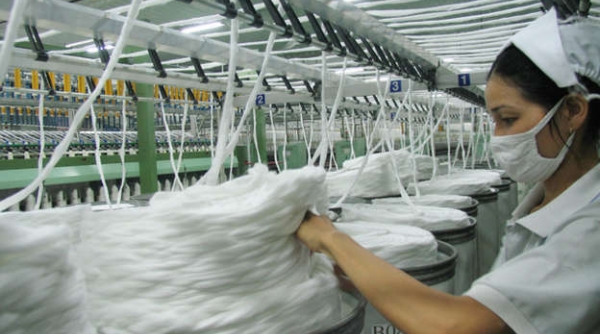 Sợi polyester Việt Nam có nguy cơ bị Thổ Nhĩ Kỳ điều tra chống bán phá giá