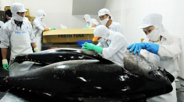 Xuất khẩu mặt hàng cá ngừ của Việt Nam tiếp tục tăng trưởng cao trong tháng 4