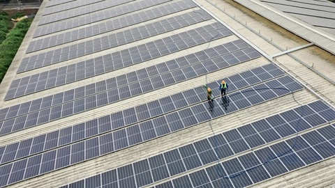 Tập đoàn TH tạo nguồn năng lượng xanh từ mái nhà trang trại công nghệ cao