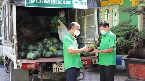 Công ty CP Công nông nghiệp Tiến Nông đồng hành cùng nông dân tỉnh Bắc Giang tiêu thụ sản phẩm